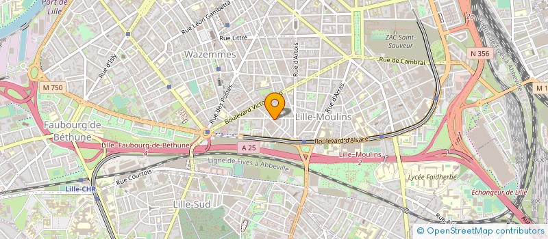 localisation de l'entreprise MADAME CHRISTINNE DELANNOY à LILLE