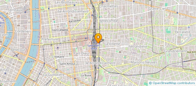 localisation de l'entreprise MADAME CHRITIANNE PASSERIEUX  LYON