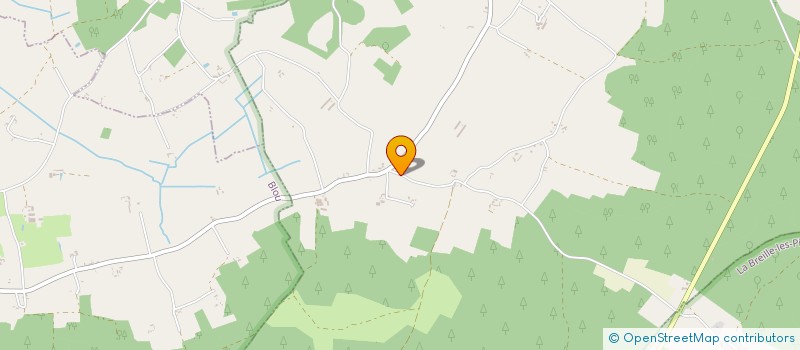 localisation de l'entreprise MADAME CHRYSTEL MAITRE  CHOUZE-SUR-LOIRE