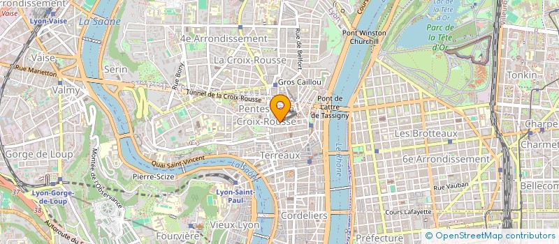 localisation de l'entreprise MADAME CHRYSTELE MIETTAUX à LYON