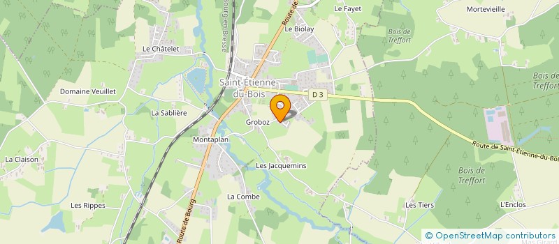 localisation de l'entreprise MADAME CHRYSTELE VION  SAINT-ETIENNE-DU-BOIS