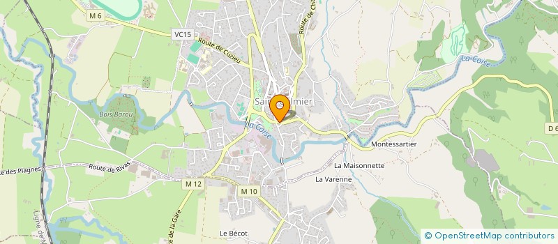 localisation de l'entreprise MADAME CHRYSTELLE BINET  SAINT-GALMIER