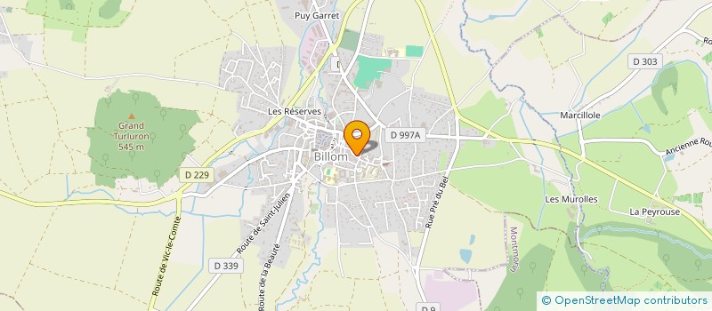 localisation de l'entreprise MADAME CHRYSTELLE DARMET à BILLOM