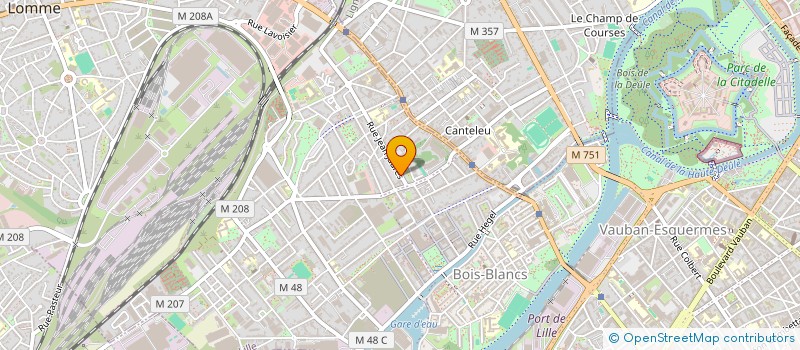 localisation de l'entreprise MADAME CINDY COLSON à LILLE