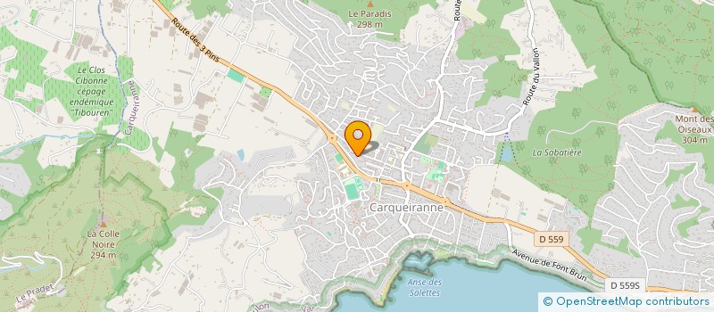 localisation de l'entreprise MADAME CINDY COURVOISIER  HYERES