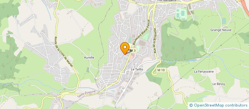 localisation de l'entreprise MADAME CINDY DE MAGALHAES-MACHADO  ROCHE-LA-MOLIERE