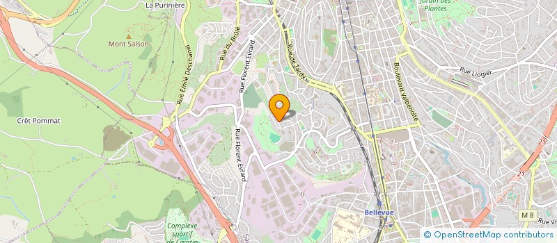 localisation de l'entreprise MADAME CINDY FLORES  SAINT-ETIENNE