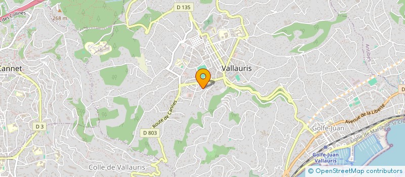 localisation de l'entreprise MADAME CINDY GIRAUDEAU  VALLAURIS