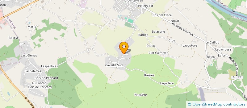 localisation de l'entreprise MADAME CINDY LAZARO  MONTAYRAL