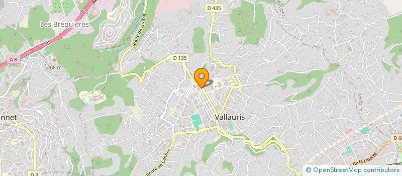 localisation de l'entreprise MADAME CINDY LEROY  VALLAURIS