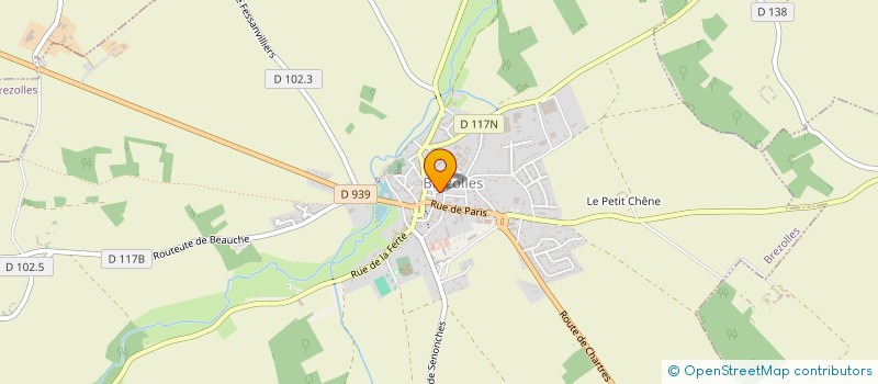 localisation de l'entreprise MADAME CINDY NICOLE à BREZOLLES
