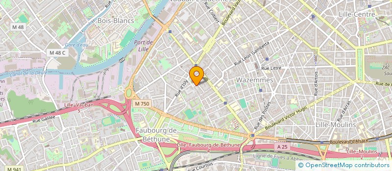 localisation de l'entreprise MADAME CINDY RANGAMA à LILLE