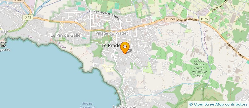 localisation de l'entreprise MADAME CINDY ZOUMBOULAKIS  LE PRADET