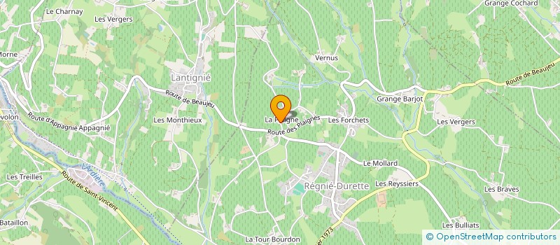localisation de l'entreprise MADAME CLAIRE ARNAL à REGNIE-DURETTE