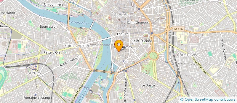 localisation de l'entreprise MADAME CLAIRE CLUZEL-BLANC  TOULOUSE