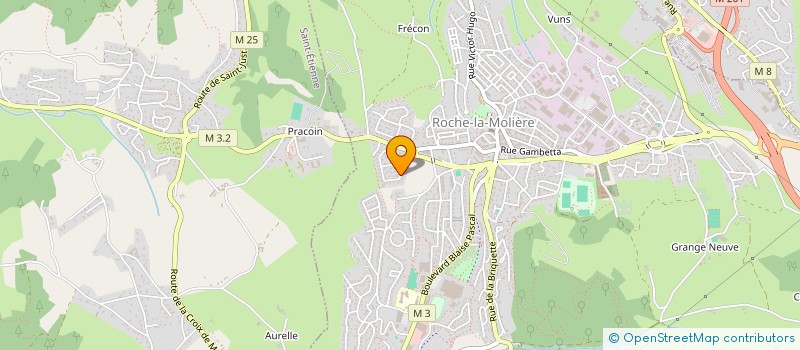 localisation de l'entreprise MADAME CLAIRE COMBIER à ROCHE-LA-MOLIERE