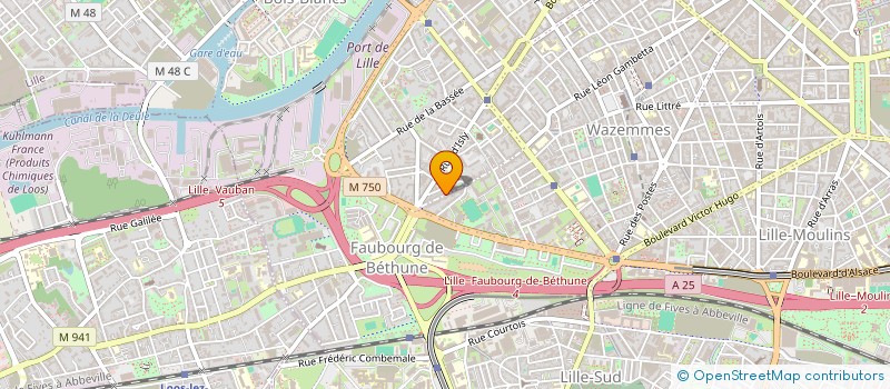 localisation de l'entreprise MADAME CLAIRE CORRION  LILLE