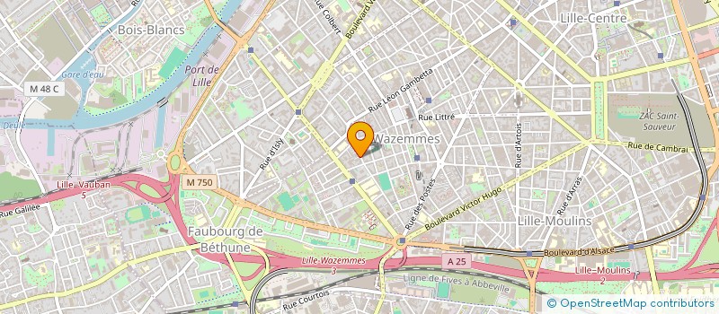 localisation de l'entreprise MADAME CLAIRE DE OLIVEIRA à LILLE