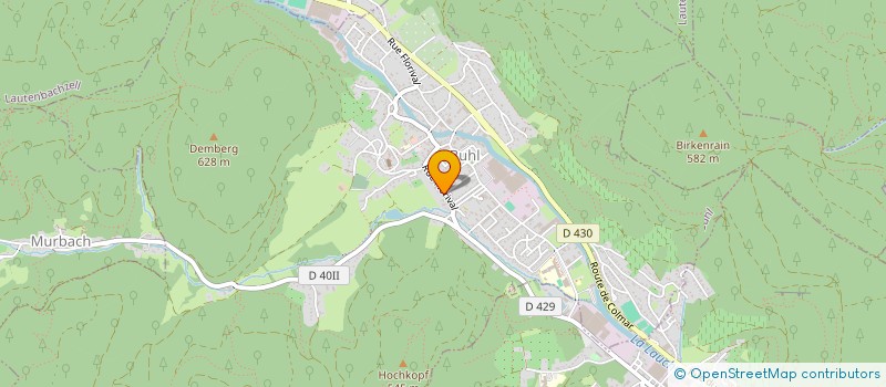 localisation de l'entreprise MADAME CLAIRE ERHARD  BUHL