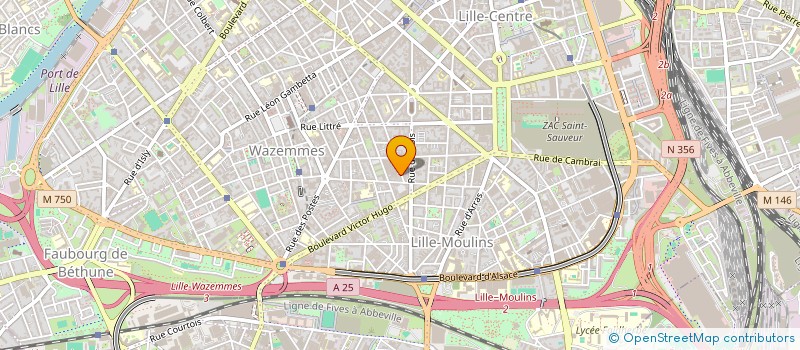 localisation de l'entreprise MADAME CLAIRE FERNANDEZ à LILLE
