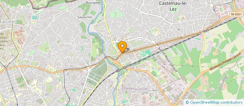 localisation de l'entreprise MADAME CLAIRE FLAMENT  CASTELNAU-LE-LEZ