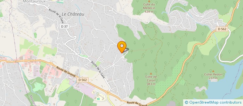 localisation de l'entreprise MADAME CLAIRE LEONELLI  MONTAUROUX