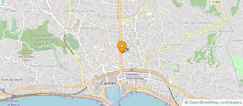 localisation de l'entreprise MADAME CLAIRE-MARIE FRESNEAU à CANNES