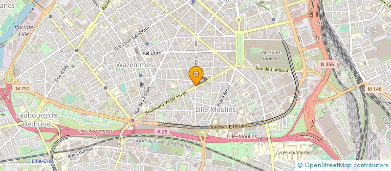 localisation de l'entreprise MADAME CLAIRE MARTEL à LILLE