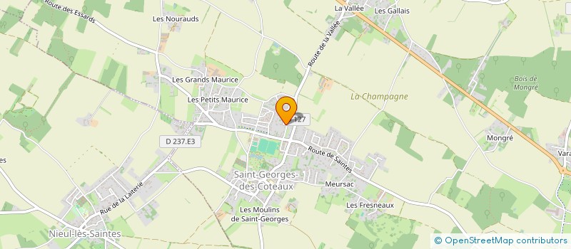 localisation de l'entreprise MADAME CLAIRE MORNET  SAINT-GEORGES-DES-COTEAUX