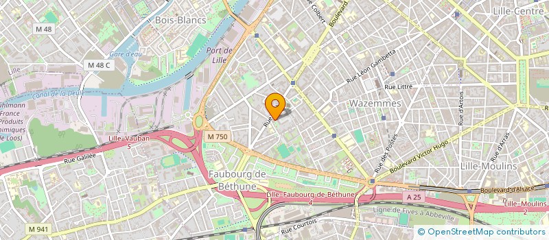 localisation de l'entreprise MADAME CLAIRE NAULIN  LILLE