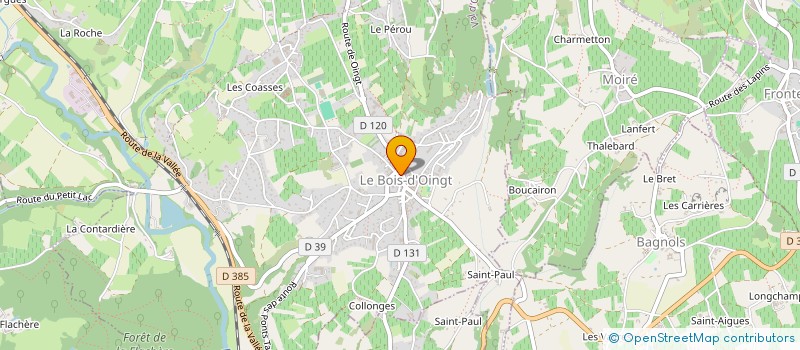 localisation de l'entreprise MADAME CLAIRE ORZECHOWSKI  VAL D'OINGT