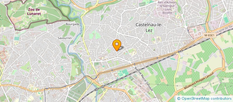 localisation de l'entreprise MADAME CLAIRE SILVERT à CASTELNAU-LE-LEZ