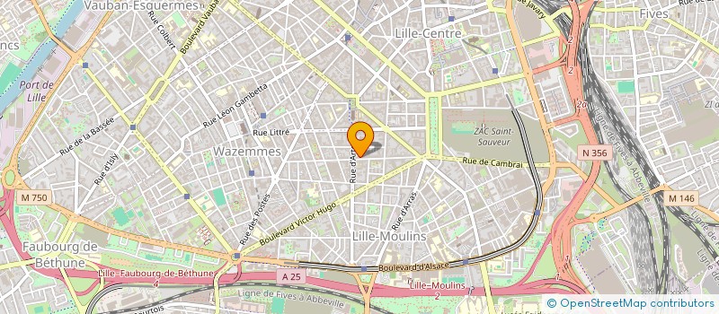 localisation de l'entreprise MADAME CLAIRE VANWYNENDAELE  LILLE