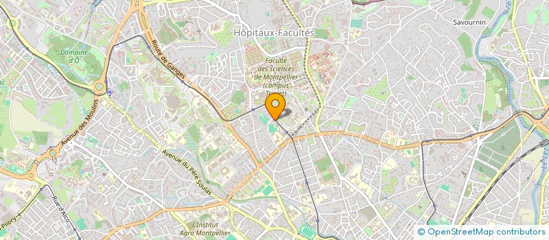 localisation de l'entreprise MADAME CLARA LEPERCQ à MONTPELLIER