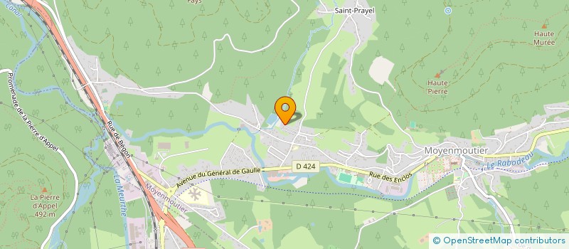 localisation de l'entreprise MADAME CLARISSE BARTHELEMY  MOYENMOUTIER