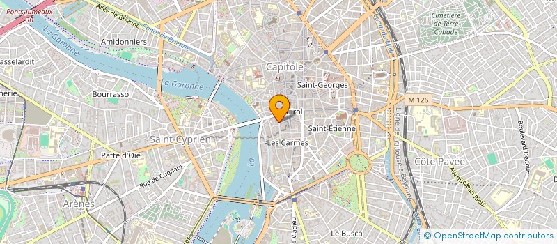 localisation de l'entreprise MADAME CLARISSE MICHARD  TOULOUSE