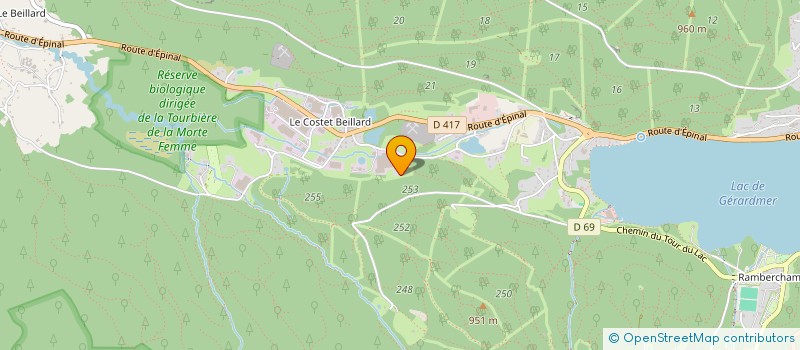 localisation de l'entreprise MADAME CLAUDE FERRO  GERARDMER