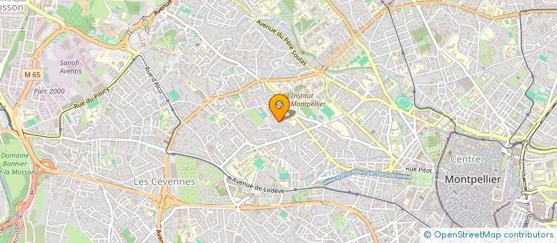localisation de l'entreprise MADAME CLAUDE-MICHELE COUPY à MONTPELLIER