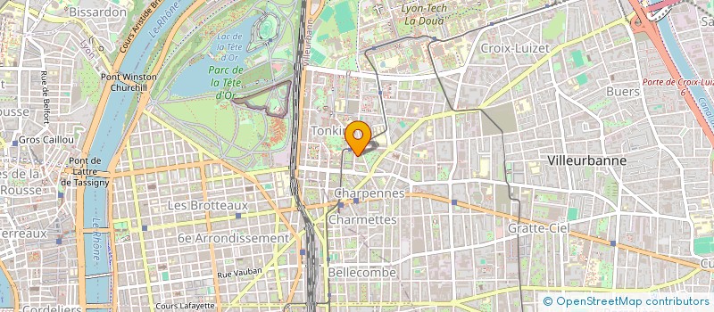 localisation de l'entreprise MADAME CLAUDENIRA DOMINGOS BELINOSSI  VILLEURBANNE