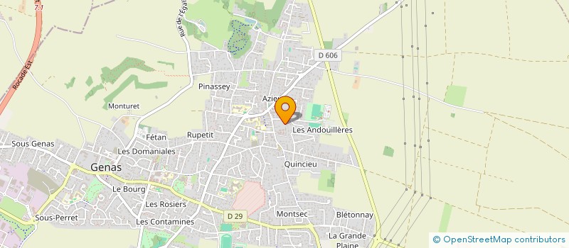 localisation de l'entreprise MADAME CLAUDIA ENDLER MUTINELLI  GENAS