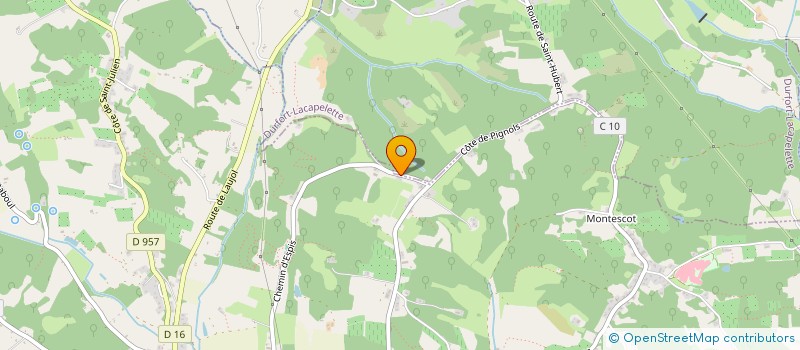 localisation de l'entreprise MADAME CLAUDIA GRACOEIRO GONCALVES  MOISSAC