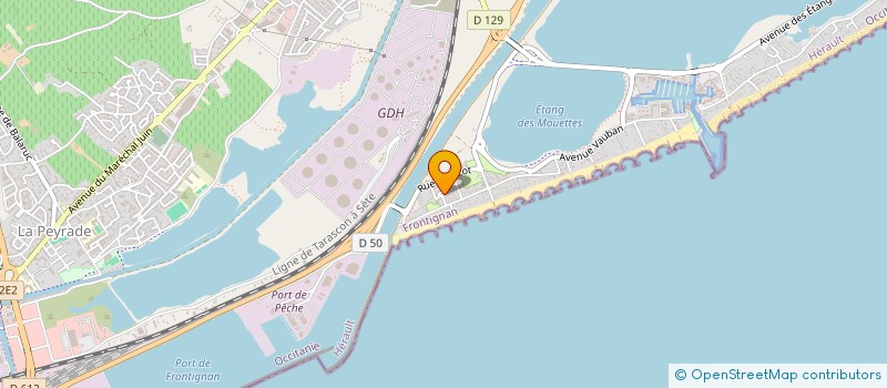 localisation de l'entreprise MADAME CLAUDIA MORANDI  FRONTIGNAN