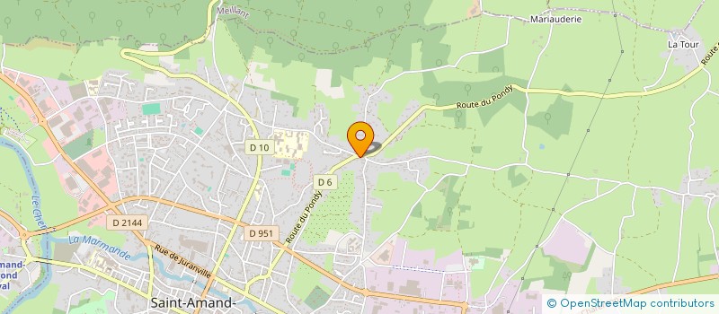 localisation de l'entreprise MADAME CLAUDIA NADINE NOUVEAU  SAINT-AMAND-MONTROND