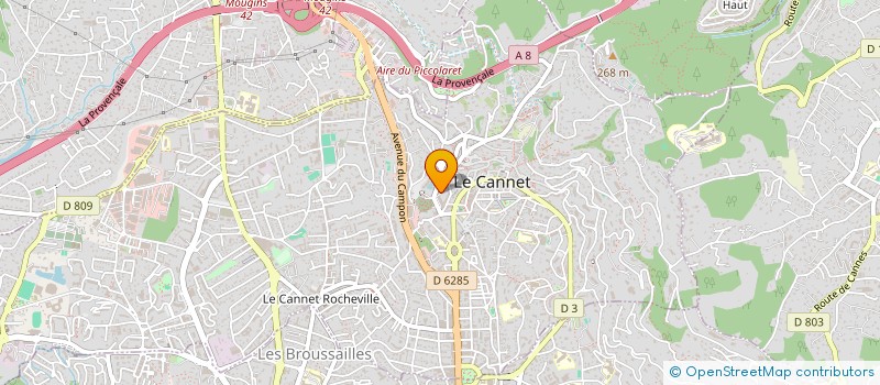 localisation de l'entreprise MADAME CLAUDIA PERESTRELO VIEIRA à LE CANNET