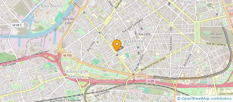 localisation de l'entreprise MADAME CLAUDIA SANE à LILLE