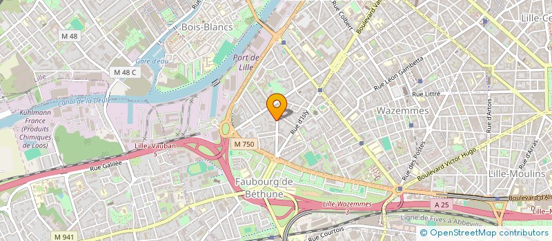 localisation de l'entreprise MADAME CLAUDIE ELSA FELICIE RIEU à LILLE