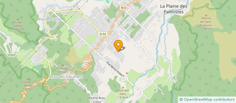 localisation de l'entreprise MADAME CLAUDINE CERVEAUX à LA PLAINE-DES-PALMISTES