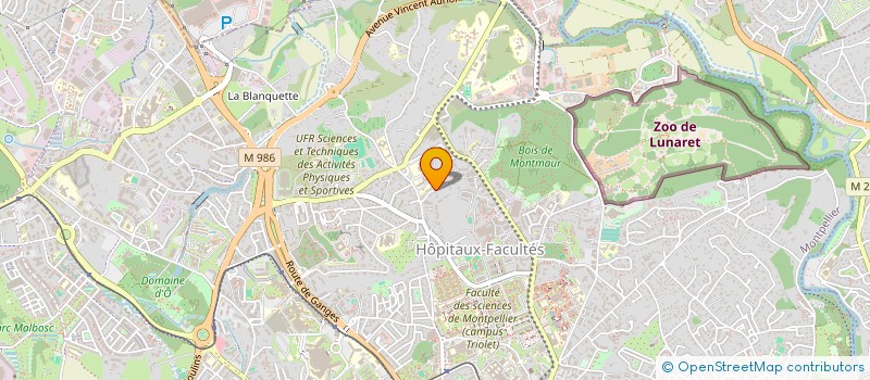 localisation de l'entreprise MADAME CLAUDINE D'ORNANO à MONTPELLIER