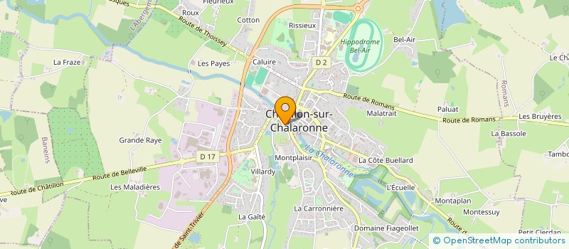 localisation de l'entreprise MADAME CLAUDINE GROSJEAN à CHATILLON-SUR-CHALARONNE
