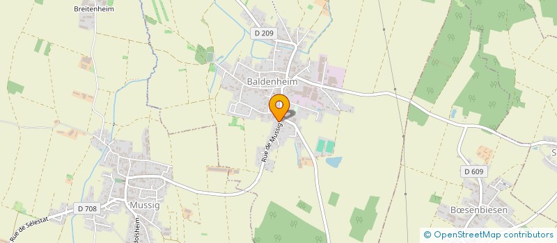 localisation de l'entreprise MADAME CLAUDINE GROSSHANS  BALDENHEIM